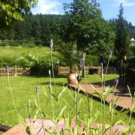 Landgasthof Hirsch Отель