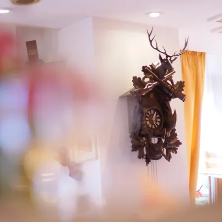 Landgasthof Hirsch Отель