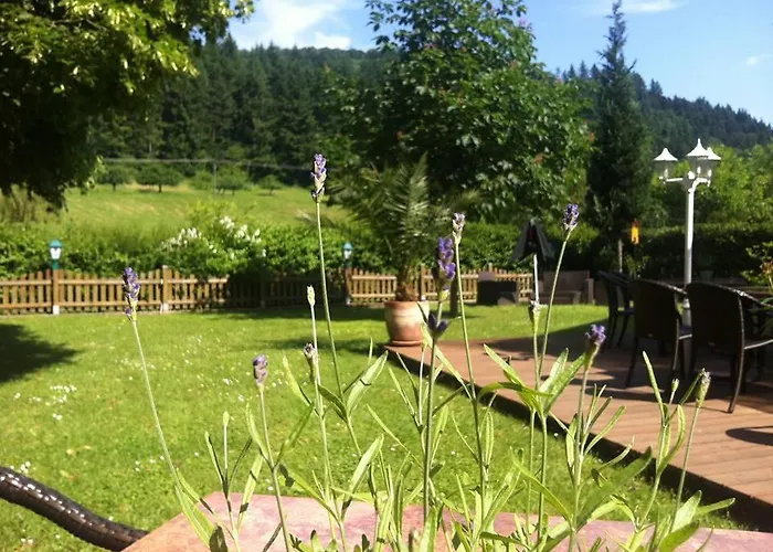 Landgasthof Hirsch Hotel